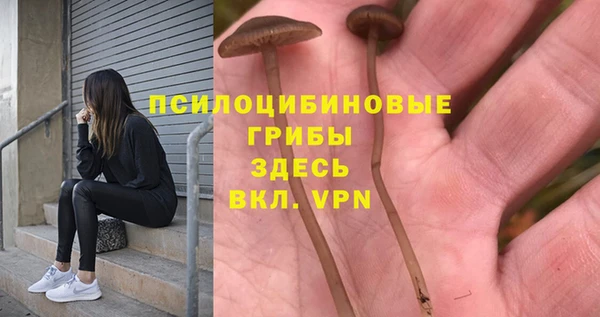 а пвп мука Михайлов