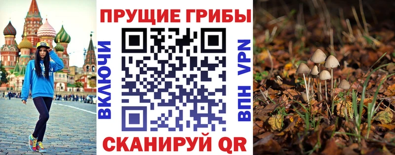 Псилоцибиновые грибы ЛСД  дарк нет наркотические препараты  Починок  kraken ссылки 